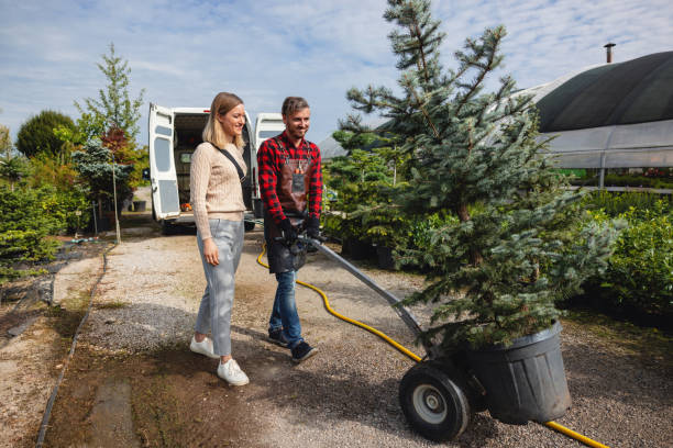Best Lawn Seeding  in Kermit, TX